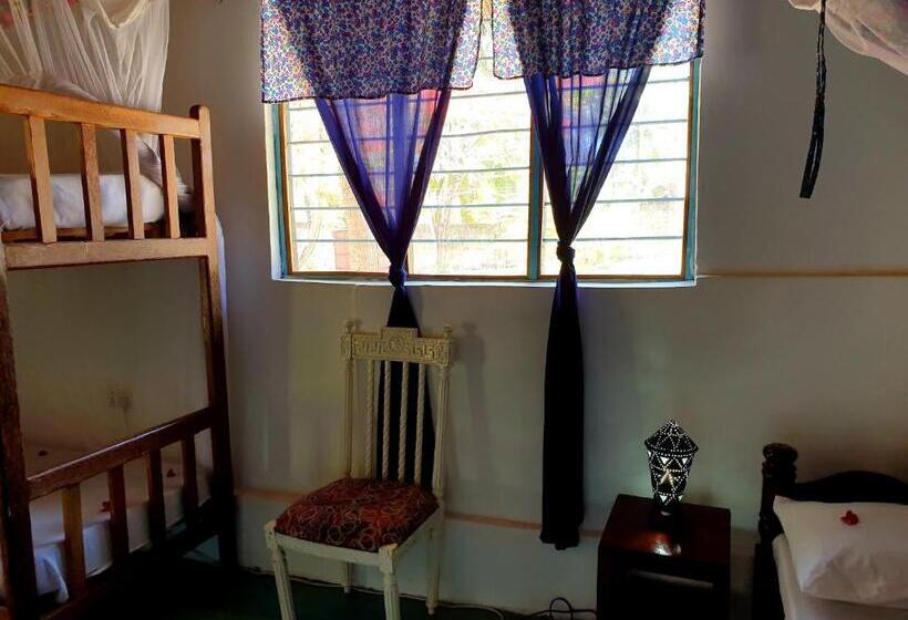 جناح جونيور مزوَّد بتراس, Fontaine Garden Village