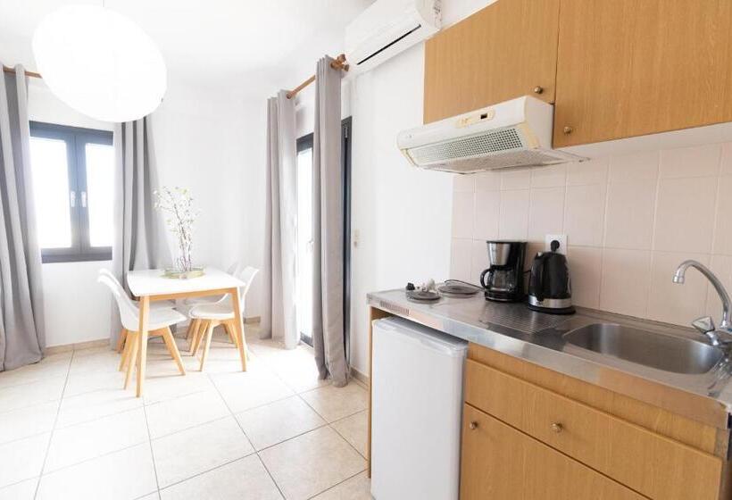 חדר סטנדרט לארבעה, Olga Studios