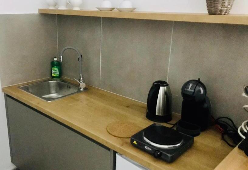 סטודיו סטנדרט נוף לים, Olga Studios