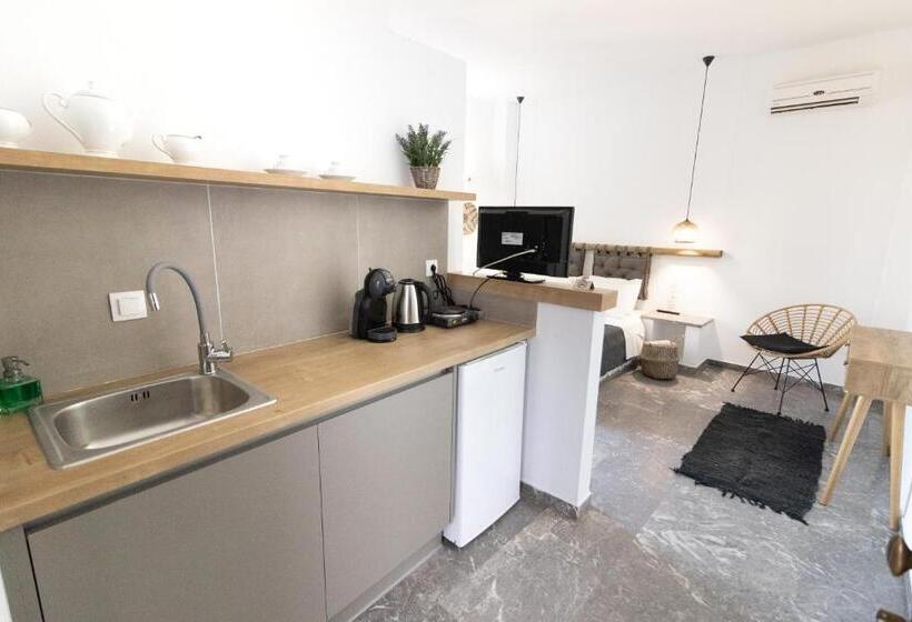 סטודיו סטנדרט נוף לים, Olga Studios