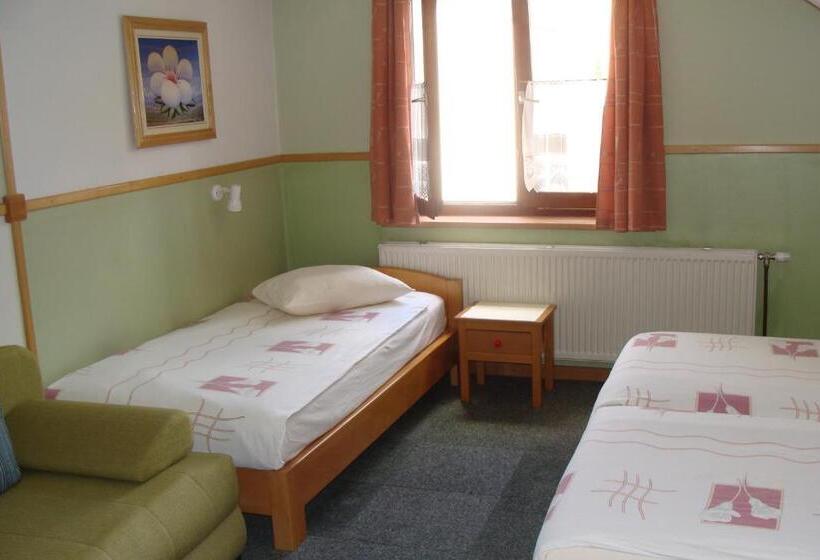 غرفة قياسية ثلاثية, Pansion Maltar Varaždin