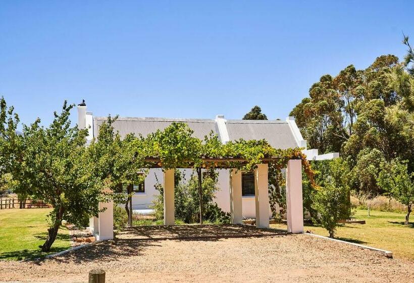 شاليه غرفة نوم واحدة, Raptor Rise