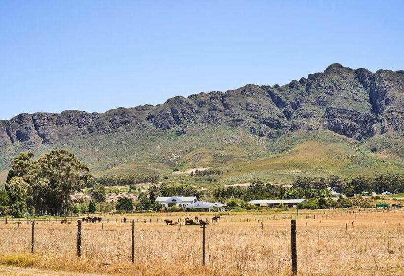 شاليه غرفة نوم واحدة, Raptor Rise