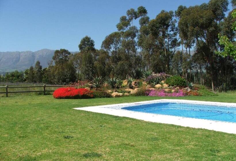 شاليه غرفة نوم واحدة, Raptor Rise