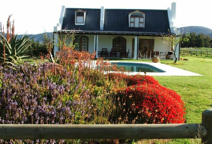 شاليه غرفة نوم واحدة, Raptor Rise