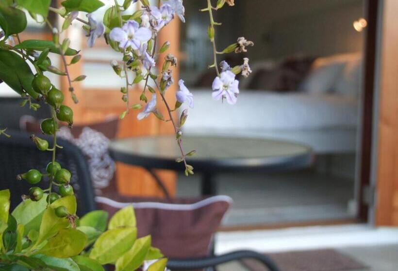 غرفة قياسية, Raptor Rise