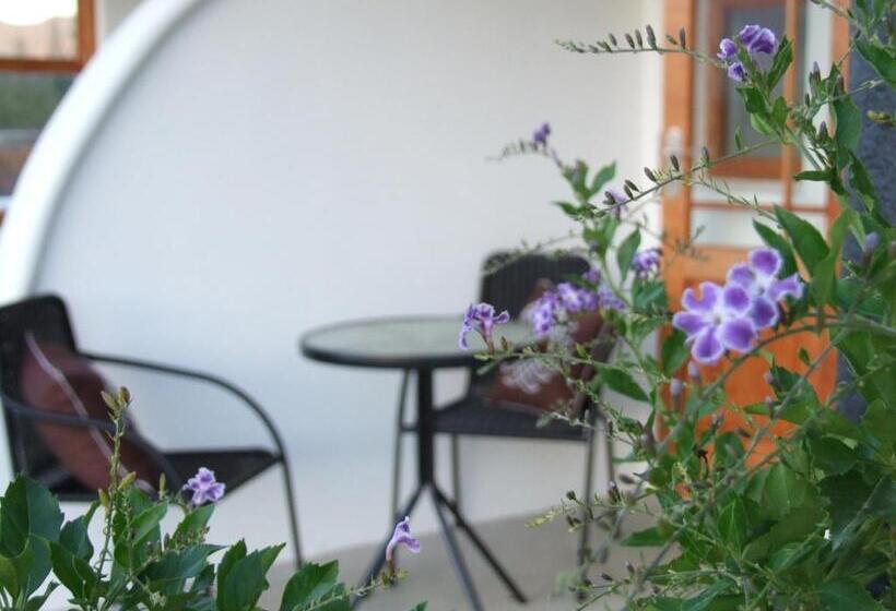 غرفة قياسية, Raptor Rise