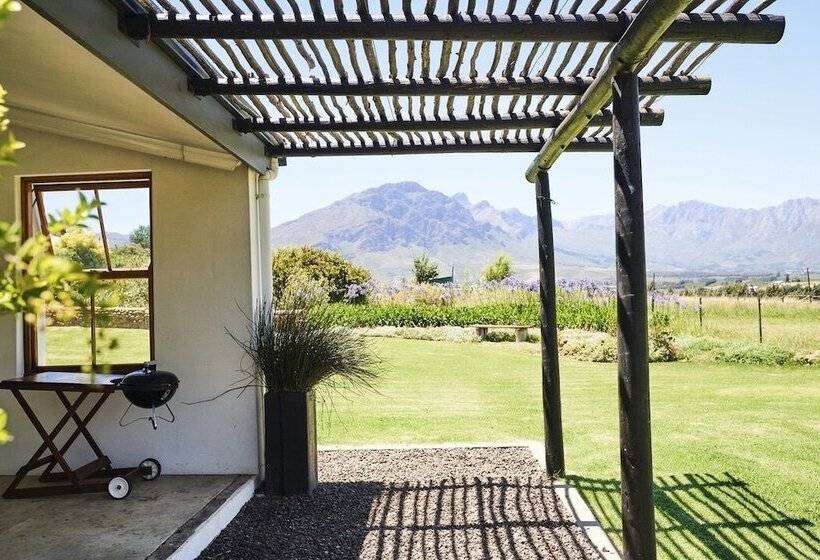 غرفة قياسية, Raptor Rise