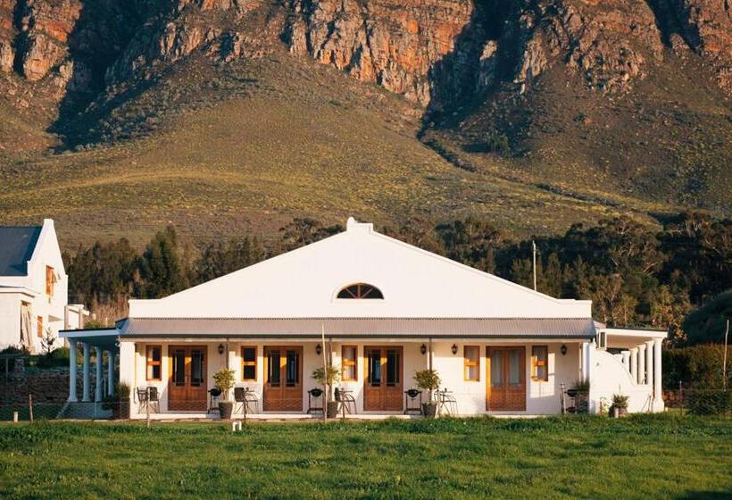 غرفة قياسية, Raptor Rise