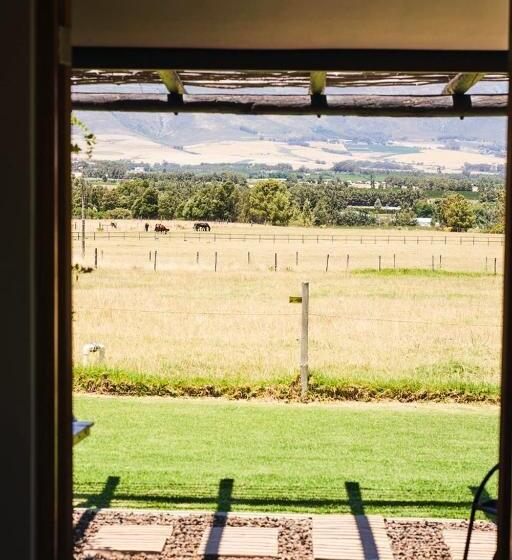 غرفة قياسية, Raptor Rise