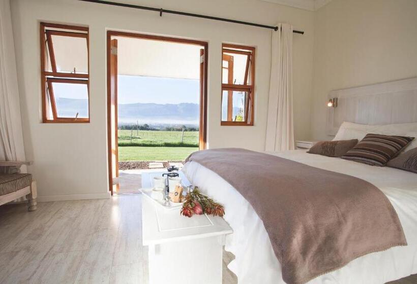 غرفة قياسية, Raptor Rise