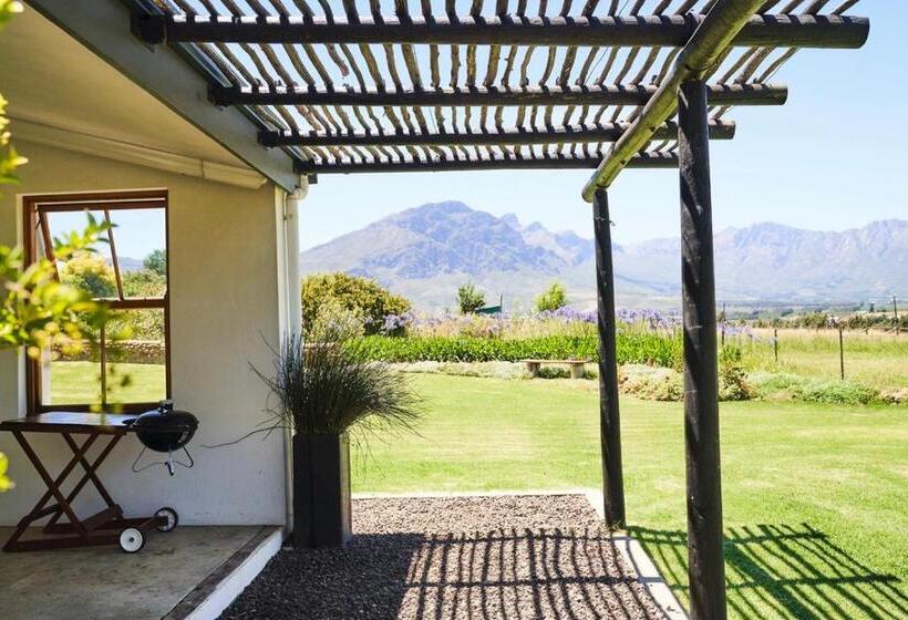 غرفة قياسية, Raptor Rise