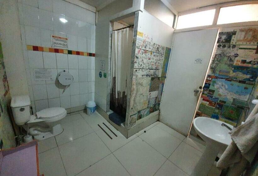 اتاق استاندارد با سرویس بهداشتی مشترک, Nomada