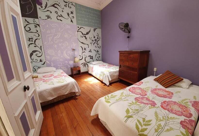 اتاق استاندارد, Nomada