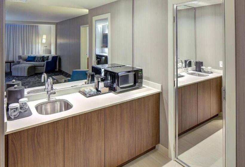 带2个卧室的套房, Courtyard By Marriott Appleton Riverfront