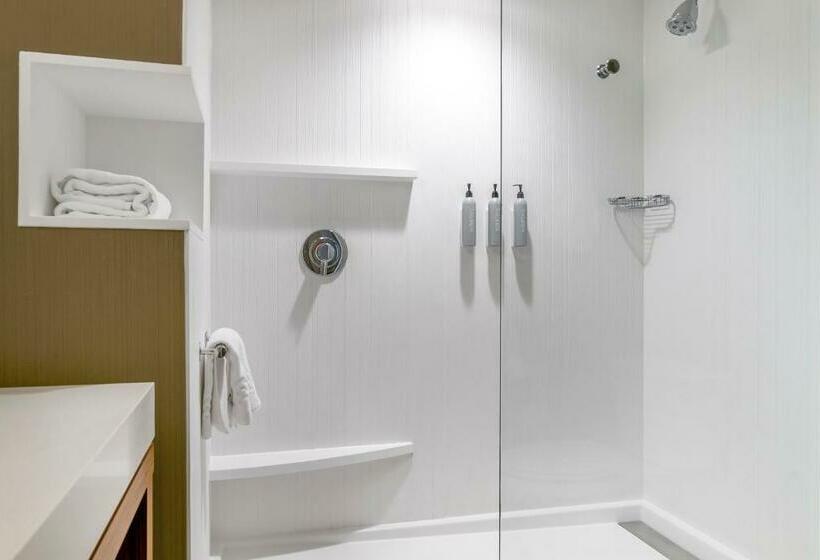 스탠다드 룸 킹사이즈 침대, Courtyard By Marriott Toledo North