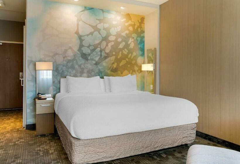스탠다드 룸 킹사이즈 침대, Courtyard By Marriott Toledo North