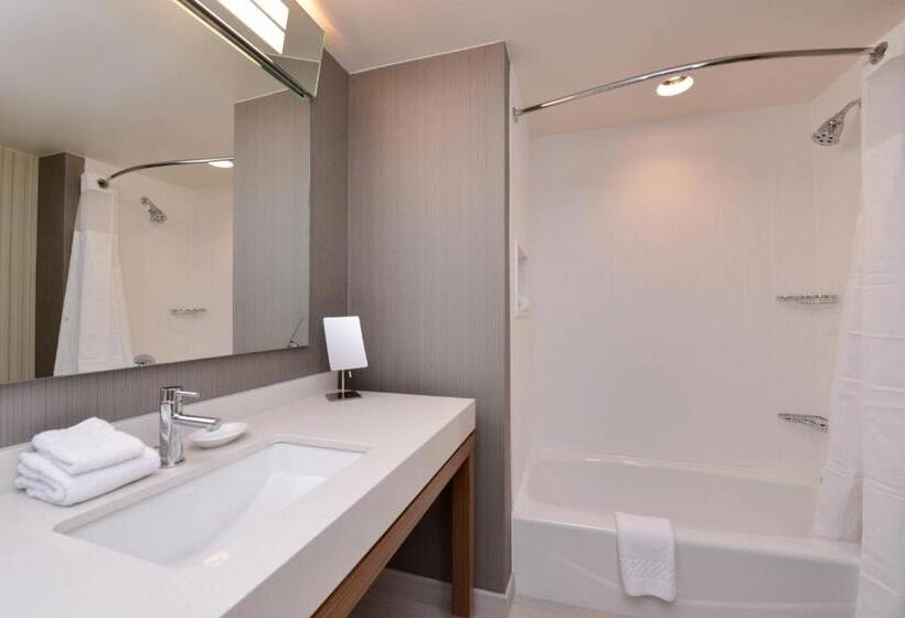 장애인을 위한 스탠다드 룸, Courtyard By Marriott Toledo North