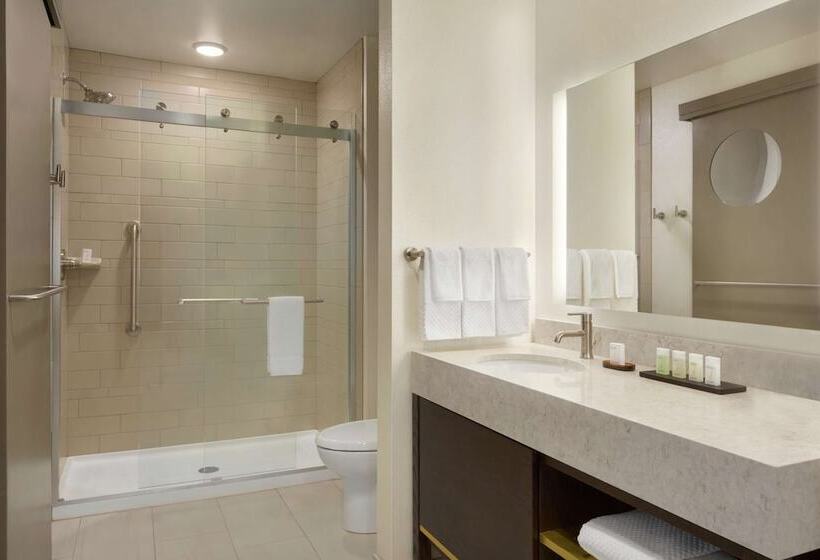 디럭스 스위트, Embassy Suites By Hilton Syracuse Destiny Usa