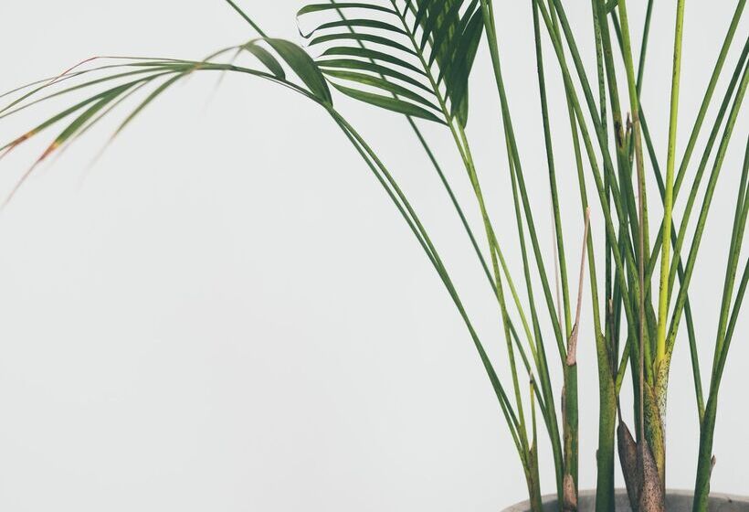 Habitación Premium Vista al Mar., Es Princep The Leading Hotels Of The World