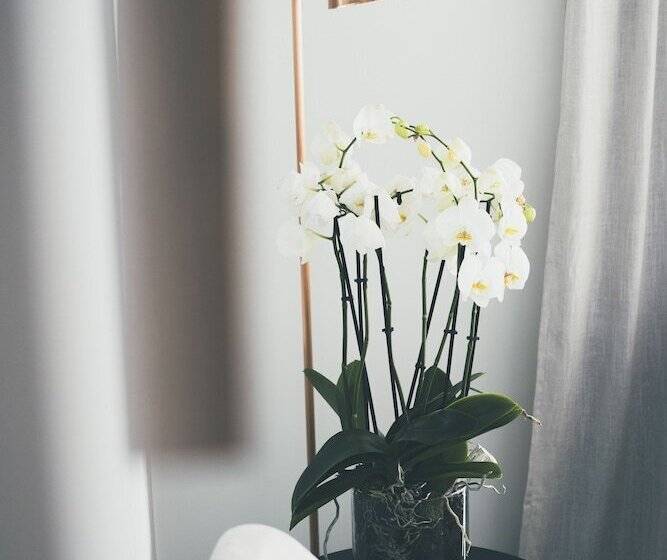 Полулюкс, Es Princep The Leading Hotels Of The World