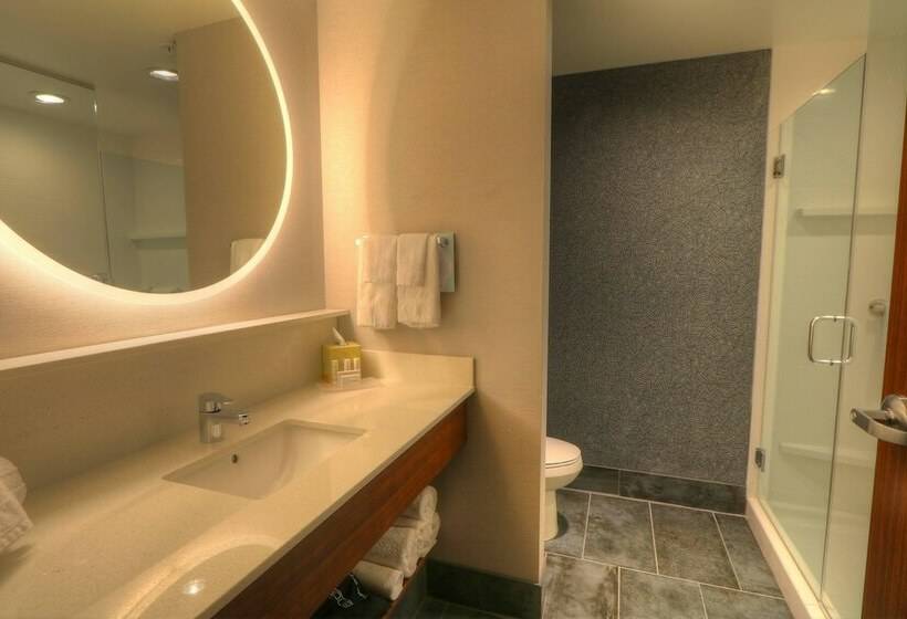 スイート, Fairfield Inn & Suites By Marriott Gatlinburg Downtown