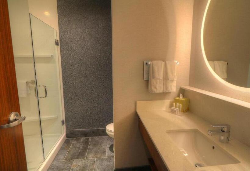 キングサイズベッドのスタンダードルーム, Fairfield Inn & Suites By Marriott Gatlinburg Downtown