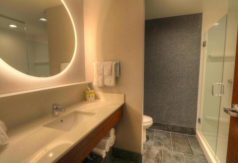 キングサイズベッドのスイートルーム, Fairfield Inn & Suites By Marriott Gatlinburg Downtown