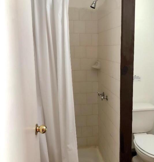 스탠다드 룸, Las Vicuñas