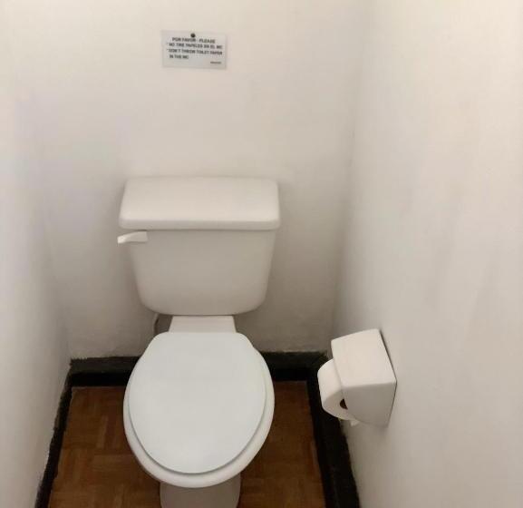 스탠다드 트리플 룸, Las Vicuñas