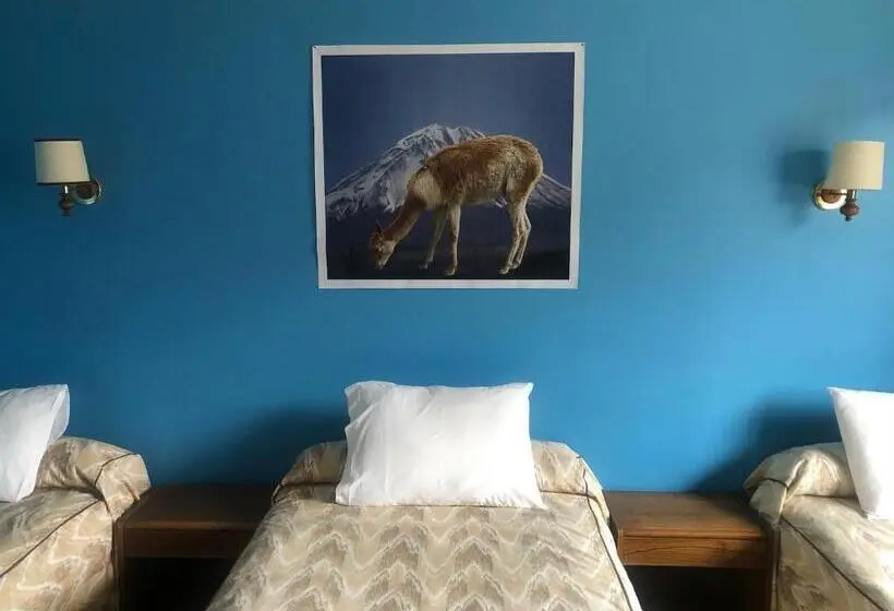 Standard Kolmen Hengen Huone, Las Vicuñas
