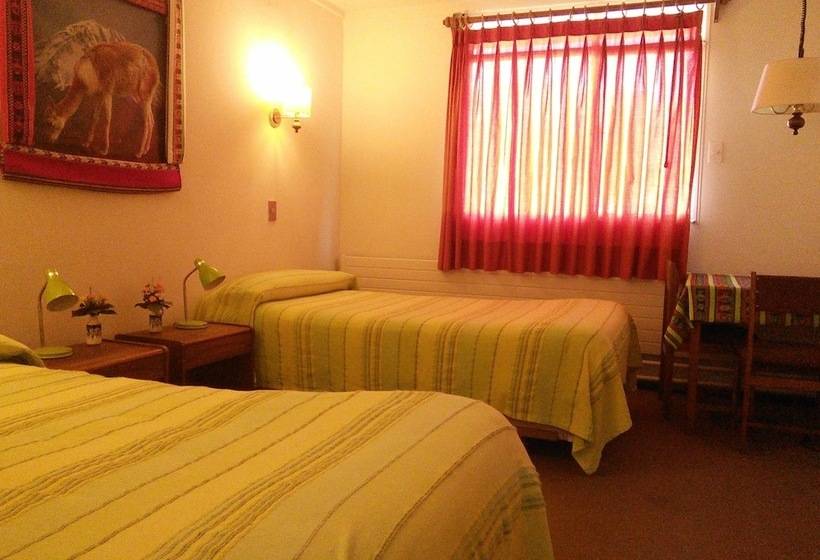 스탠다드 룸, Las Vicuñas