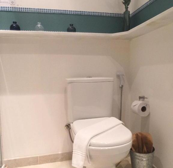 带按摩浴盆的套房, Recanto Das Andorinhas Studios