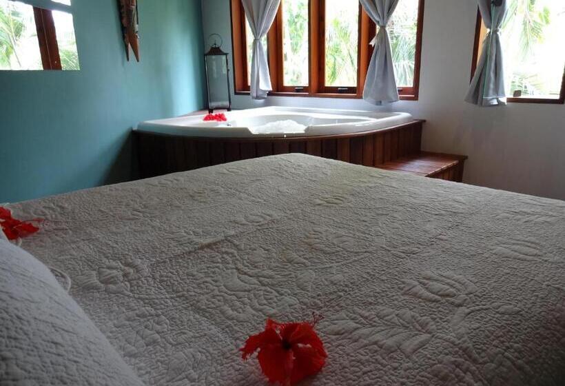 带按摩浴盆的套房, Recanto Das Andorinhas Studios