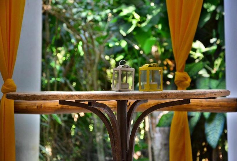 标准工作室带阳台, Recanto Das Andorinhas Studios