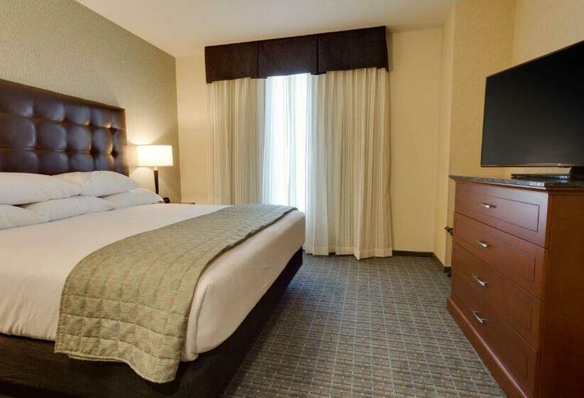 جناح سرير كينج, Drury Plaza Hotel St. Louis St. Charles
