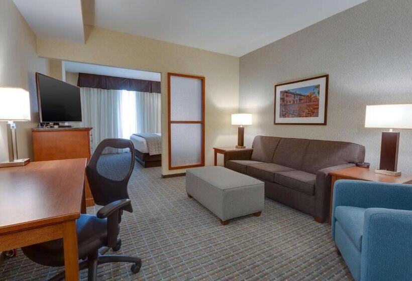 غرفة سوبيريور, Drury Plaza Hotel St. Louis St. Charles