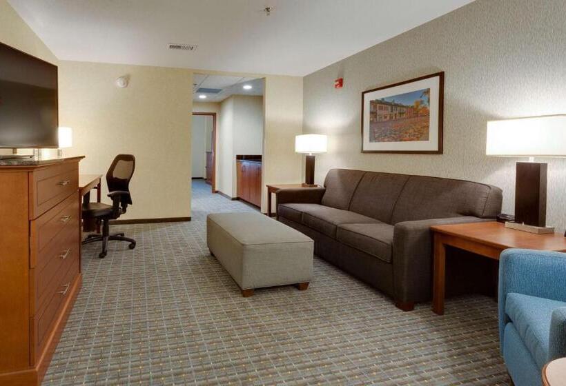 Люкс Адаптированный для Инвалидов, Drury Plaza Hotel St. Louis St. Charles