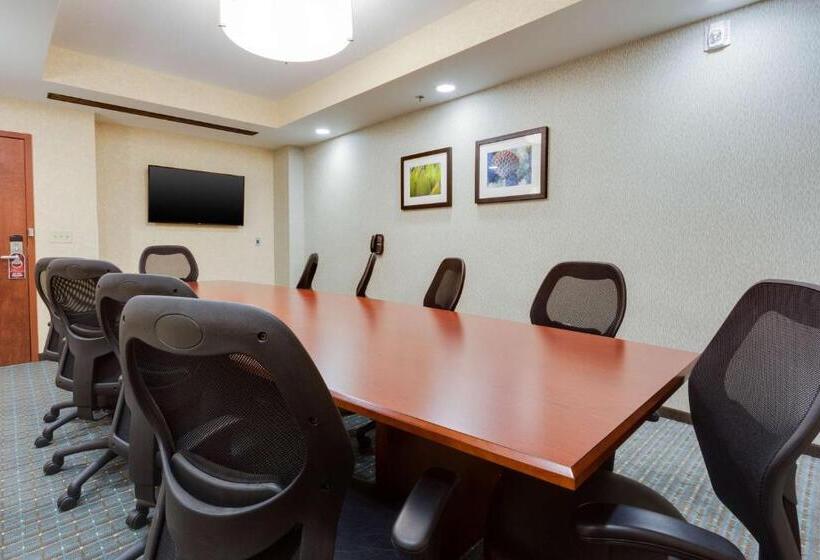 غرفة ديلوكس سرير كينج, Drury Plaza Hotel St. Louis St. Charles