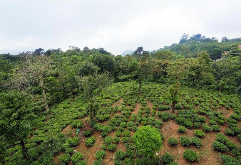 4인용 스탠다드 룸, Chillax Vagamon