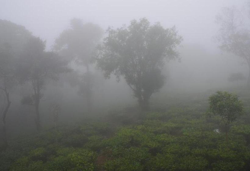 חדר סטנדרט לארבעה, Chillax Vagamon