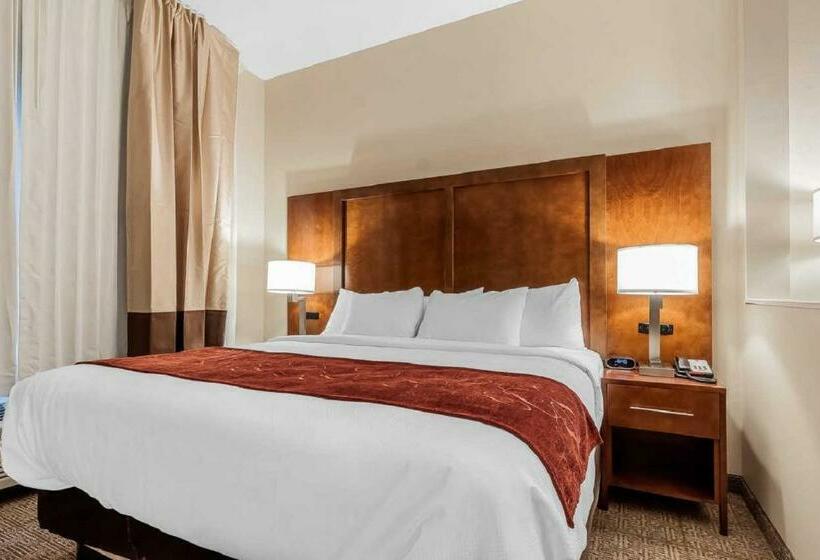 스위트 킹사이즈 침대, Comfort Suites