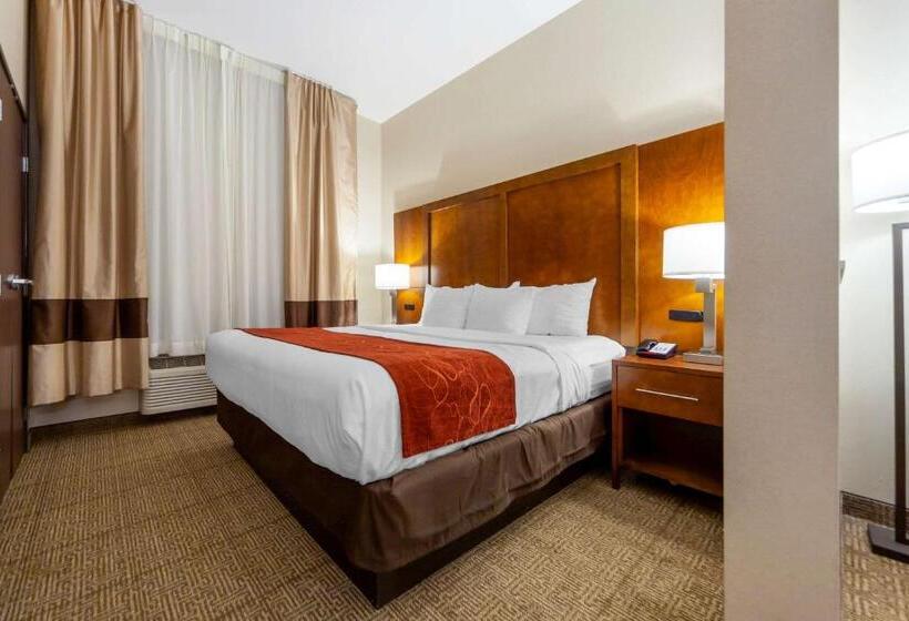 جناح سرير كينج, Comfort Suites