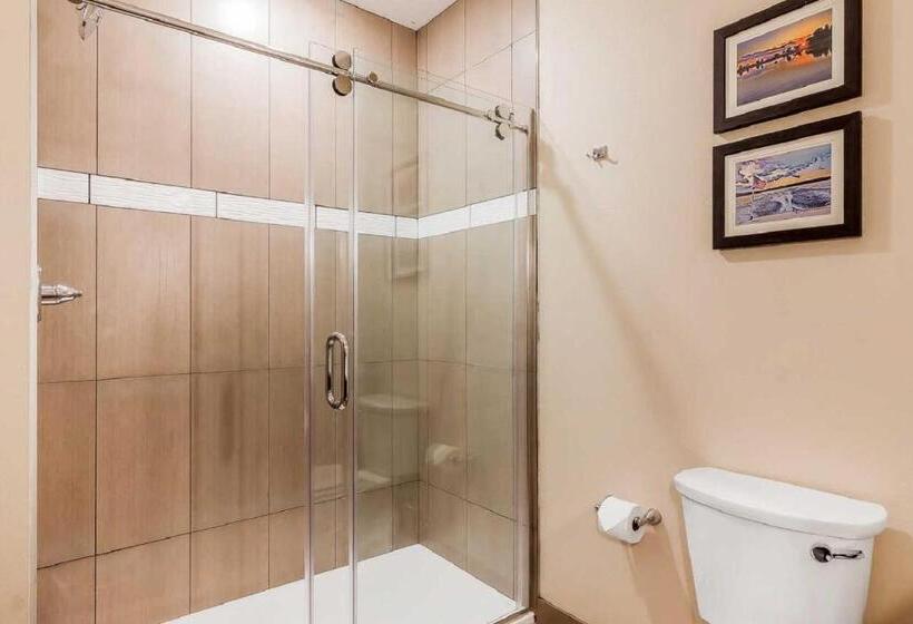 장애인을 위한 스위트, Comfort Suites