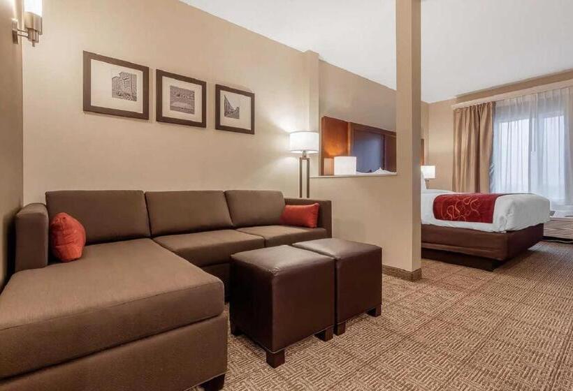 Люкс Адаптированный для Инвалидов, Comfort Suites