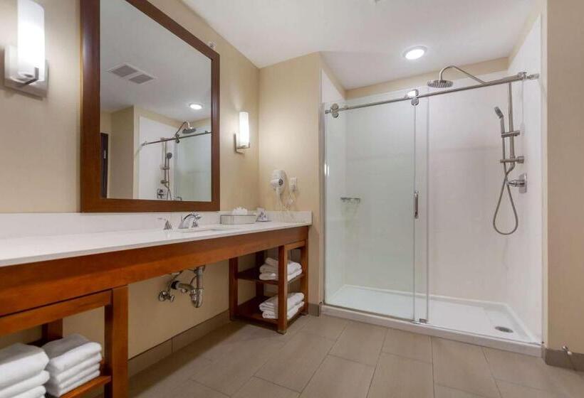 جناح إدارى سرير كينج, Comfort Suites