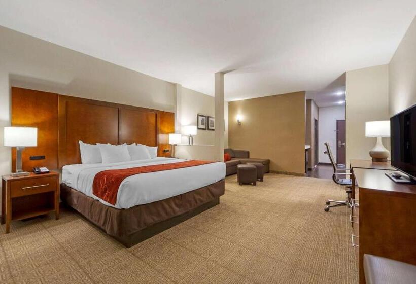 جناح إدارى سرير كينج, Comfort Suites