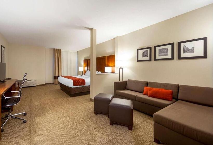 جناح إدارى سرير كينج, Comfort Suites