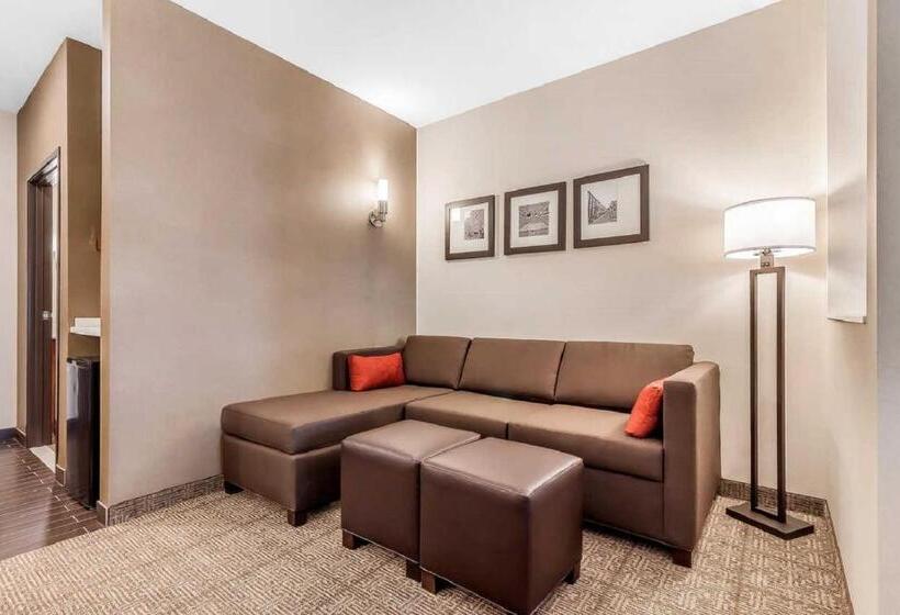 جناح إدارى سرير كينج, Comfort Suites