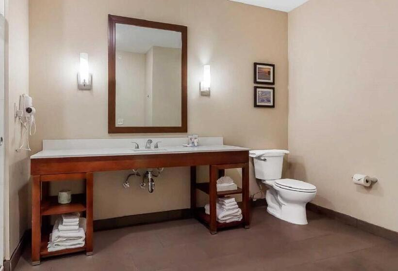 جناح إدارى سرير كينج, Comfort Suites
